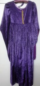 Kids Costumes to Hire - Purple Dress - Girl